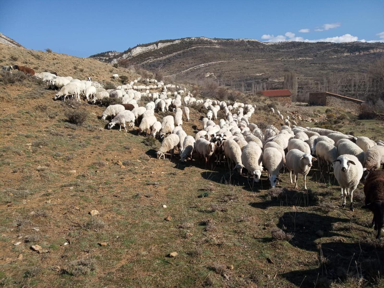 Casa Rural Chulilla Villarroya de los Pinares 外观 照片