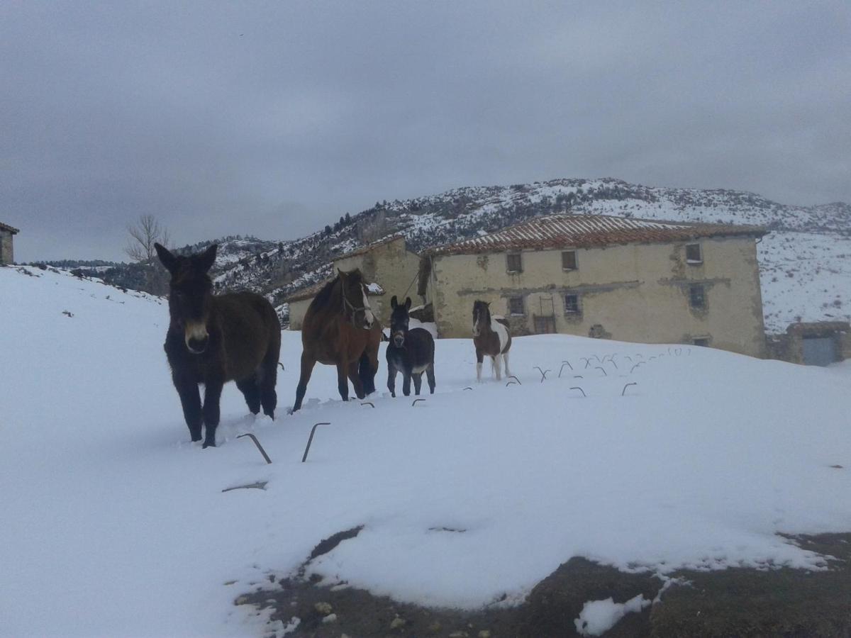 Casa Rural Chulilla Villarroya de los Pinares 外观 照片