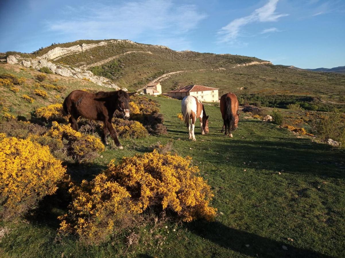 Casa Rural Chulilla Villarroya de los Pinares 外观 照片