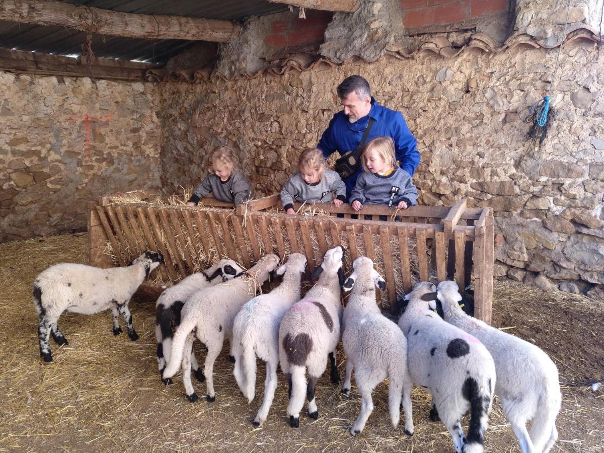 Casa Rural Chulilla Villarroya de los Pinares 外观 照片